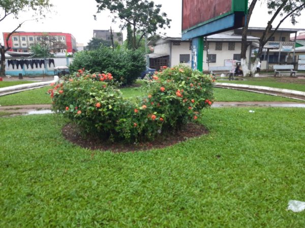 Parc de Bonamoussadi