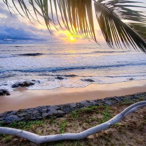 Kribi-Douala Kribi-Douala