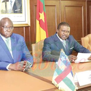 normal_gcbd658 normal_gcbd658